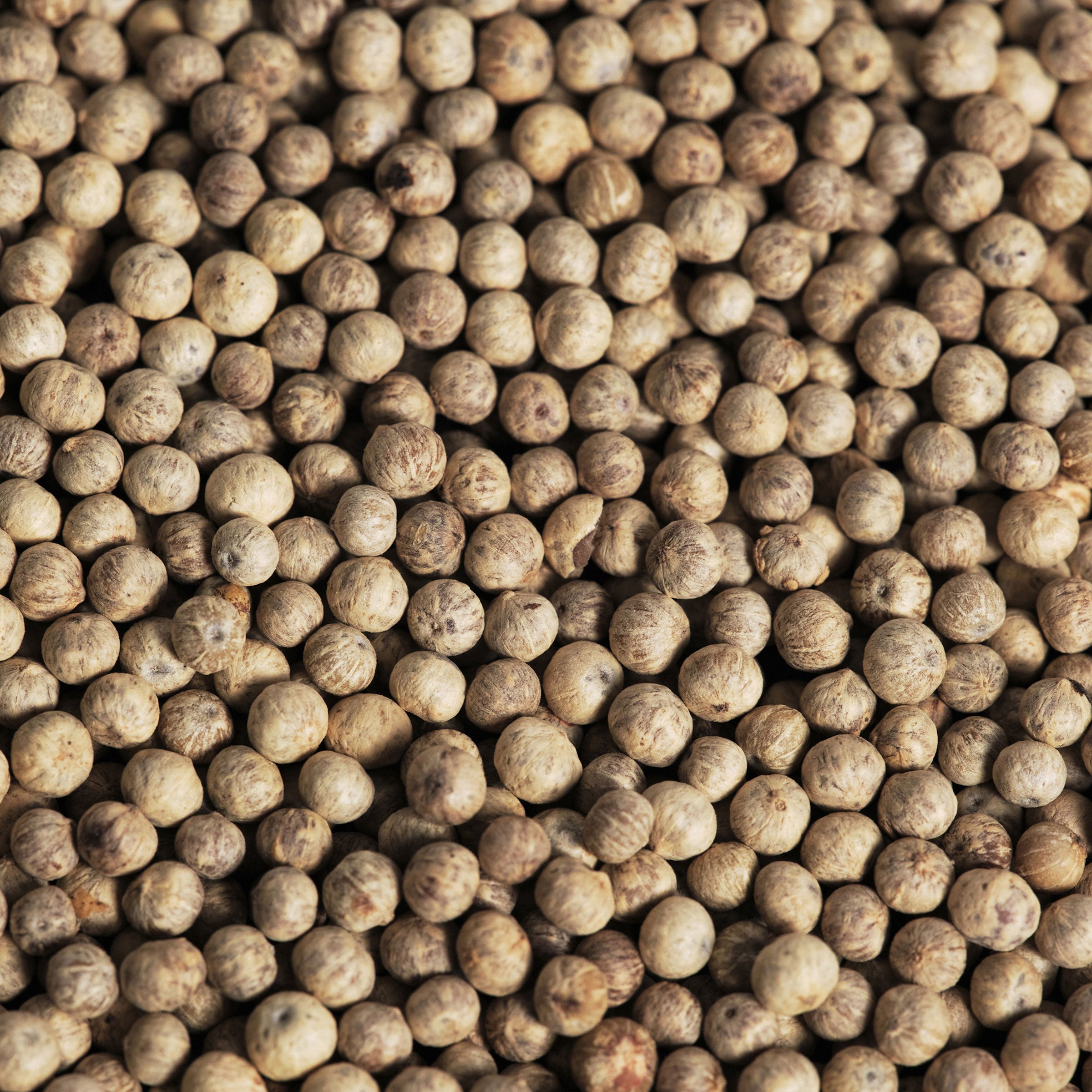 Macro shot of white peppercorn.
