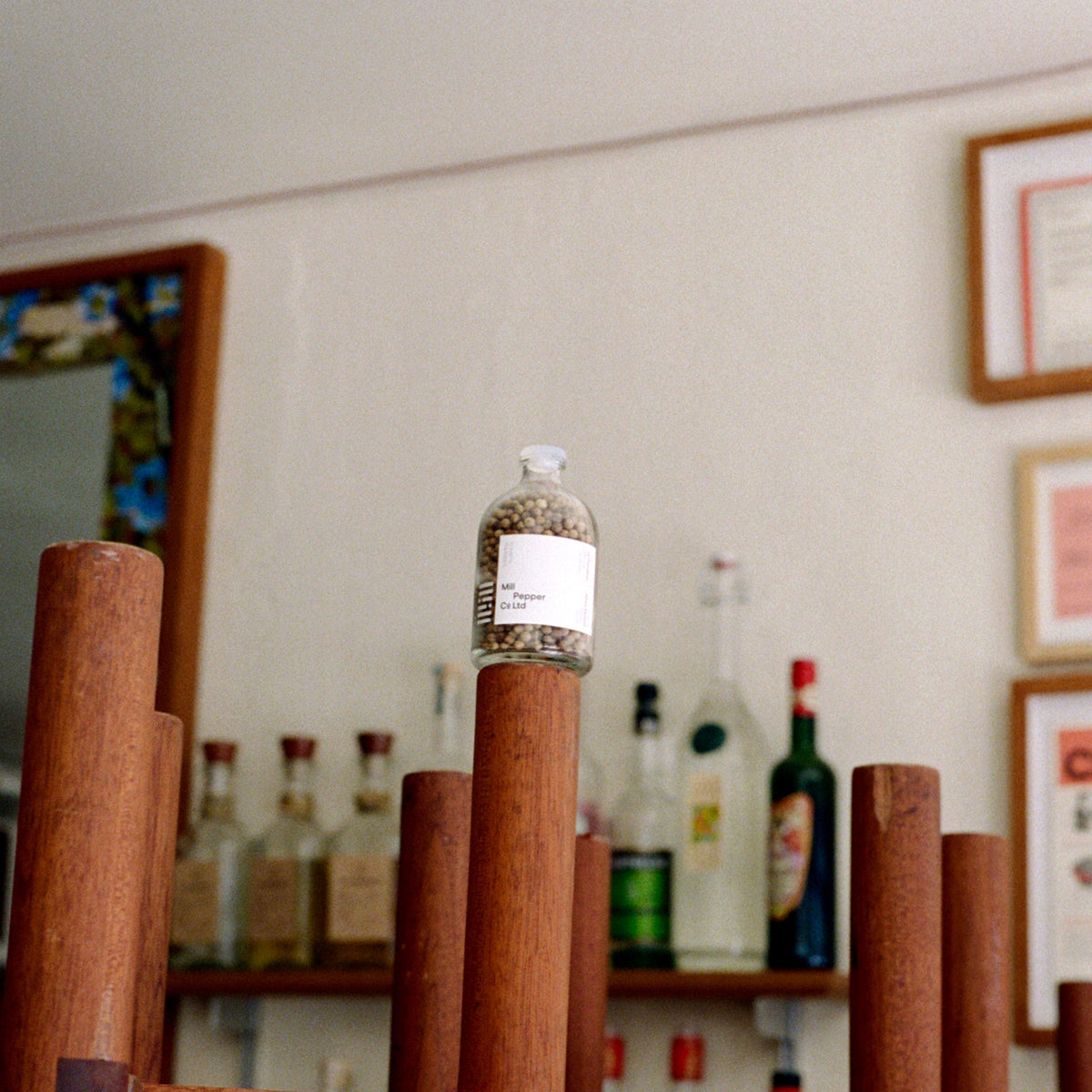 White peppercorn sits on chair. 